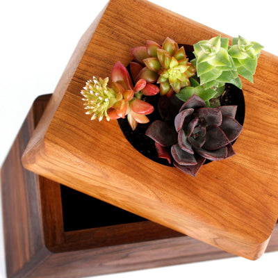 The Living Urn Planter - Farris