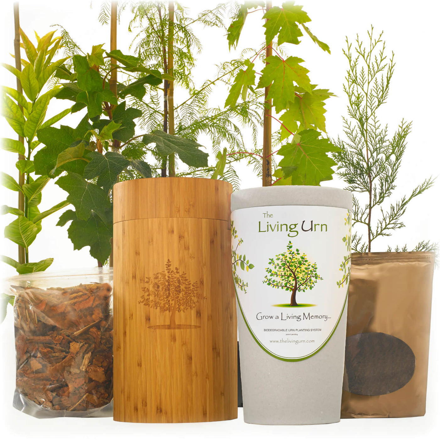 Living Urn System Only (use with your own tree, plant or flowers) - Farris